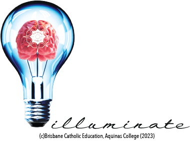 Illuminate program logo